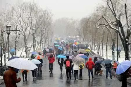 河南多地降雨迎春雪，木材粉碎机厂家忙不停